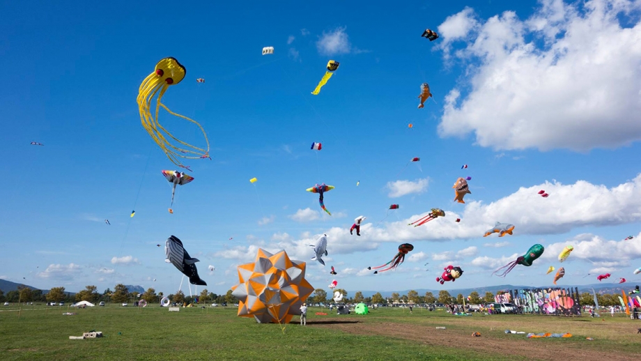 festival-plan-air-920xauto_0_1